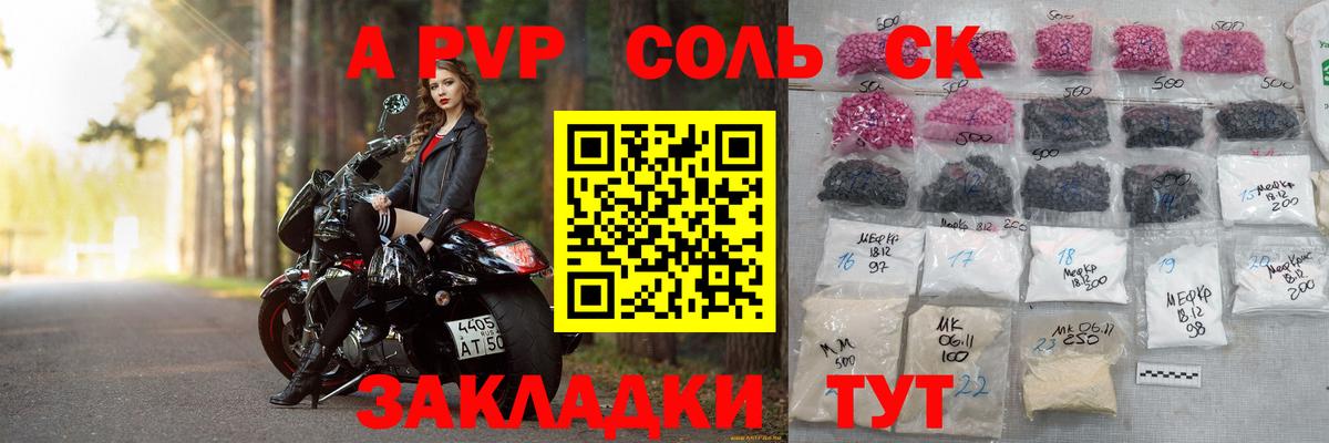 Alfa_PVP СК КРИС Горно-Алтайск