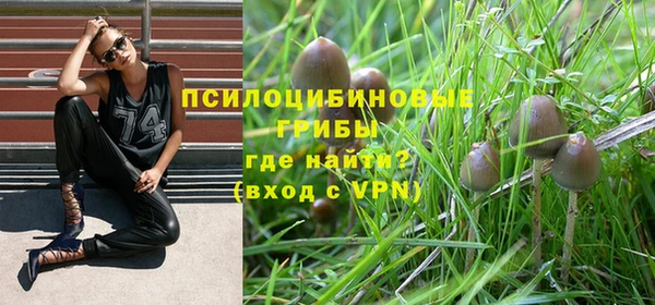 дмт Белоозёрский