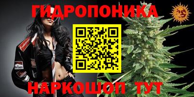 гашик Комсомольск-на-Амуре